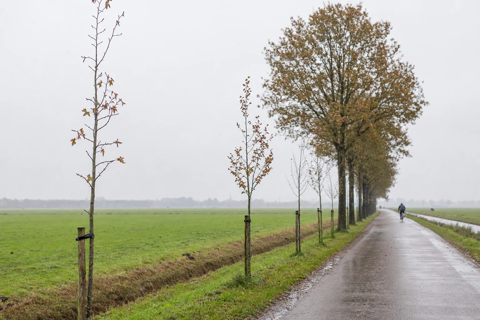 Maandelijks beleggen: wat levert het echt op?